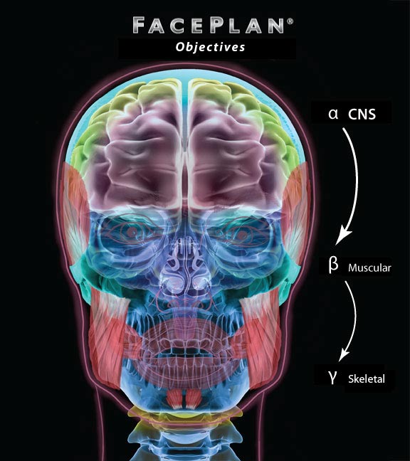 Applying etiology, muscle and skeletal factors
